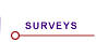 embrace surveys